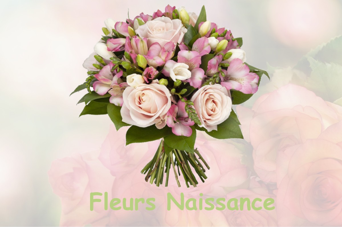 fleurs naissance FONTENAY-LE-MARMION